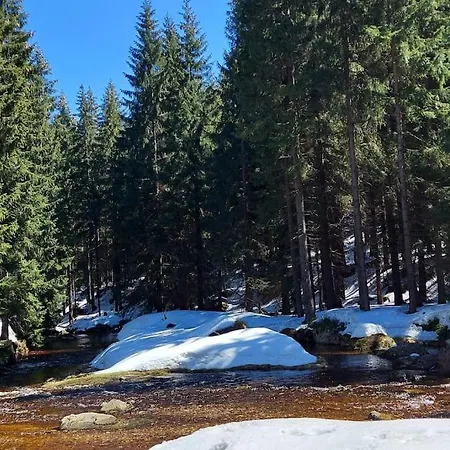 Comfort Stone Hill 公寓