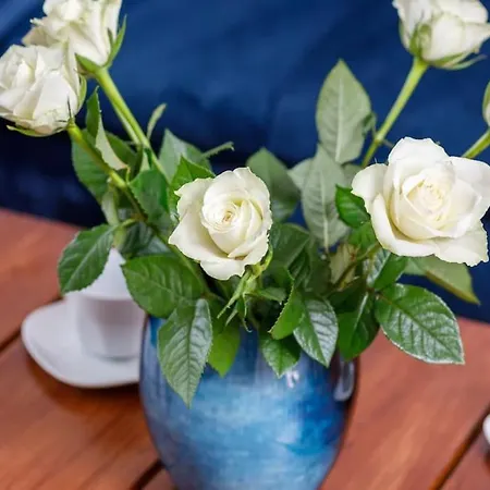 Comfort Stone Hill 公寓