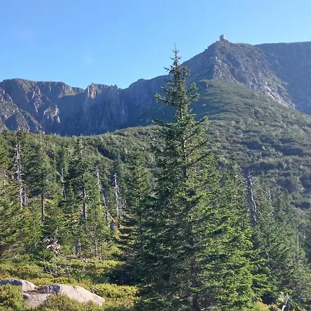 Comfort Stone Hill *