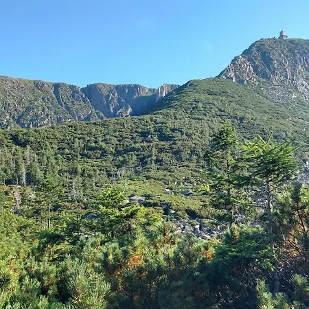 Comfort Stone Hill *