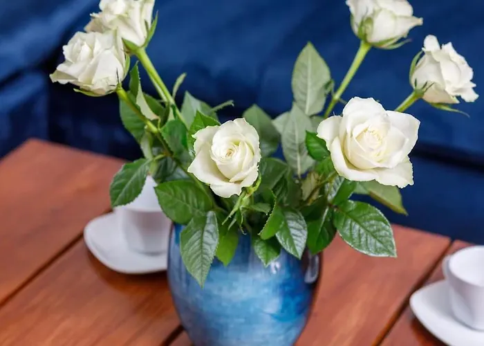 Comfort Stone Hill Apartment