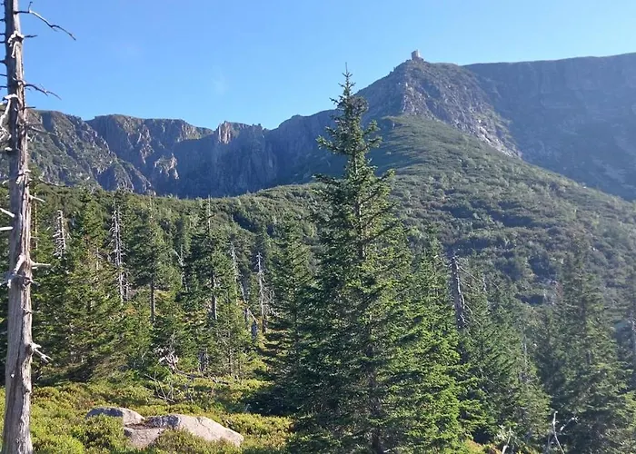 Comfort Stone Hill *